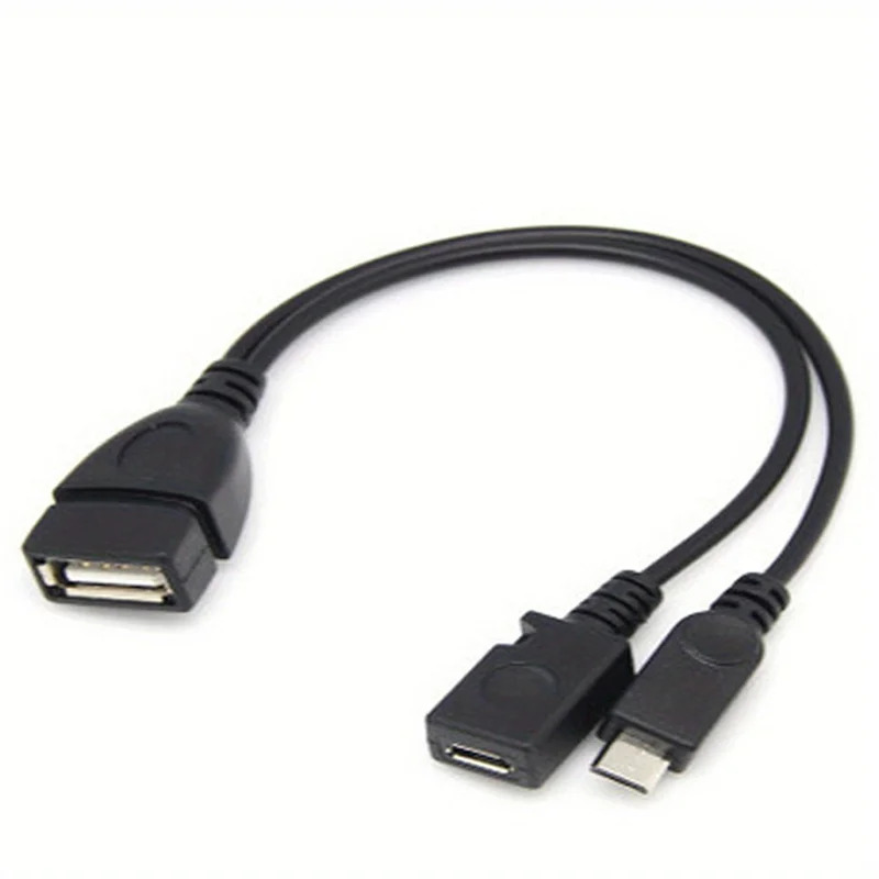 2-in-1 OTG USB to Micro USB Sp - Fire Tablet Accessories のレビューと価格